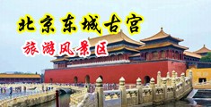 大鸡吧操骚逼啊啊啊啊啊啊视频中国北京-东城古宫旅游风景区