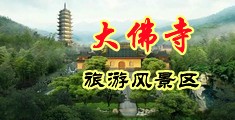 骚逼鸡巴黄色视频中国浙江-新昌大佛寺旅游风景区